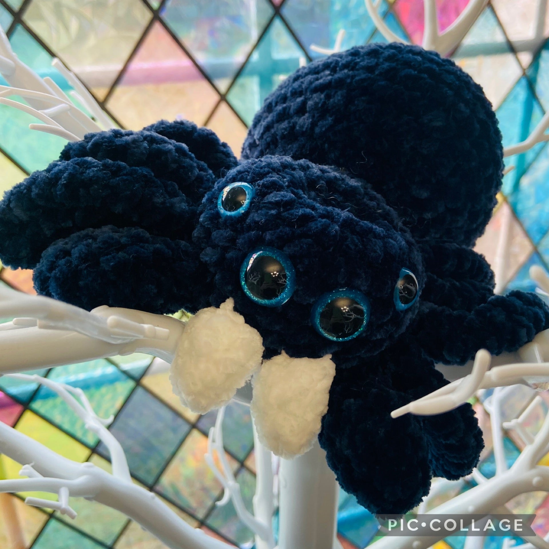 Jumping Spider (Baby) | Nerdy Panda Army