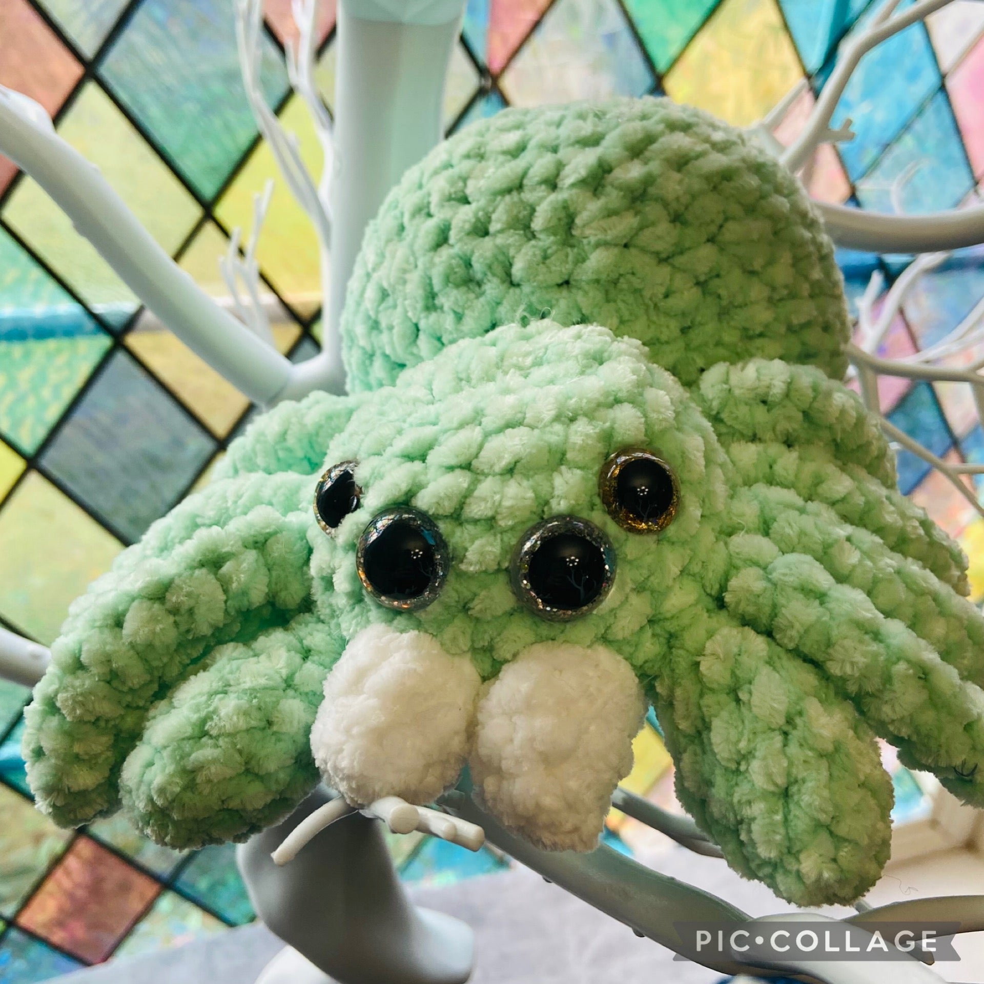 Jumping Spider (Baby) | Nerdy Panda Army
